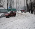Zdjęcie z galerii